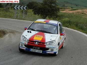 Se vende 206 xs andaluz