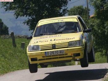 205 rallye + plataforma + equipacion completa