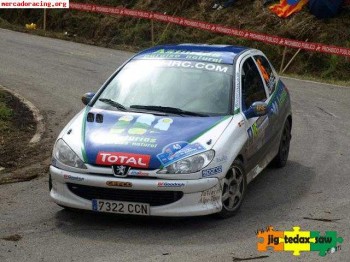 206 desafio nacional con carroceria matter