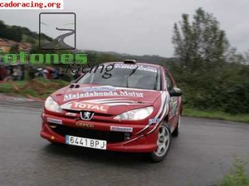 206 campeon desafio 18.500 euros!!!!!!!!