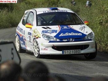 Peugeot 206 rc gr.a ex-oficial peugeot sport francia 