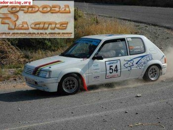 205 rally