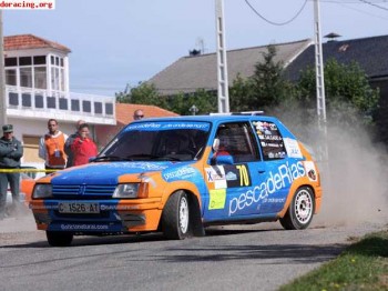205 rally 1,3 ganador de grupo x11 campeonato gallego 2008 b