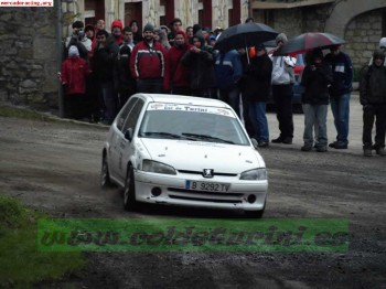Vendo o cambio por c2 de la copa o saxo de la copa este 106 