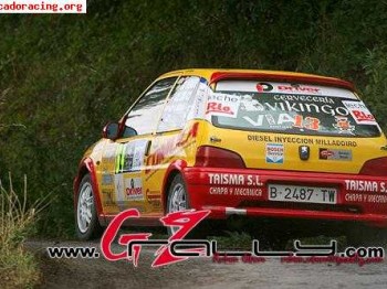 Vendo 106 campeon de la driver center (galicia)