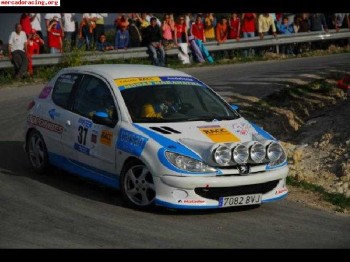Peugeot 206 regional listo para temporada 2009 ¡¡buen precio