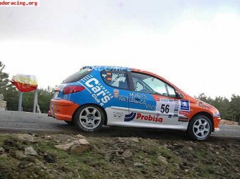 Peugeot 206 xs desafío nacional