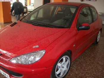 Peugeot 206 del desafio