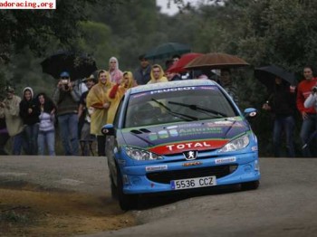 Peugeot 206  3 clasificado desafi0 2008 ex arias