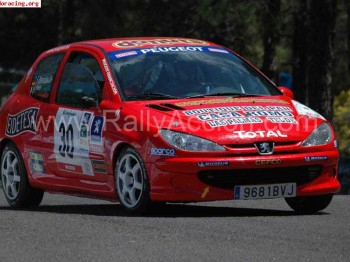Peugeot 206 desafío naciomal y frances