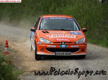 Peugeot 206 desafio nacional