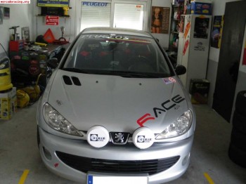 Peugeot 206 gti