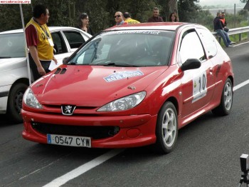 Vendo 206 desafio nacional ex monarri