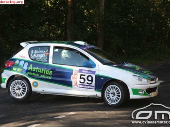 Se vende 206 rc grupo n