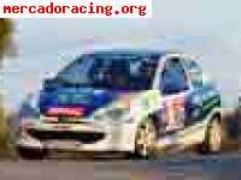 Peugeot 206 desafio nacional