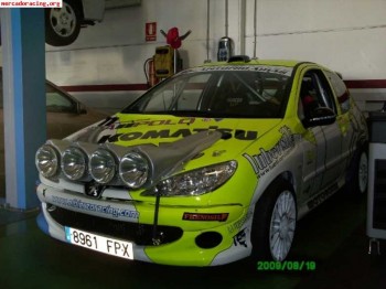 Peugeot 206 rc carroceria numerada peugeot sport