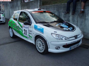 Vendo 206 rc grupo n con carroceria matter y suspension boss