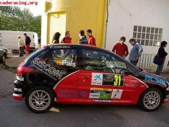 Peugeot 206 desafío francés