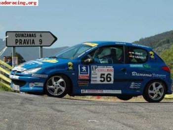 Peugeot 206 copa auto-nalon urge