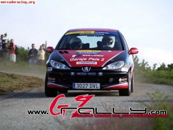 Peugeot 206 desafío francés