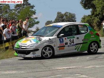 206 xs volant racc - desafio peugeot cataluña
