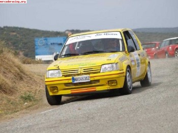205 gti max. gr. a
