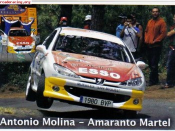 Vendo ocambio 206 del desafio canario