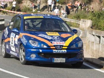 Se vende 206 xs   volant racc catalunya 