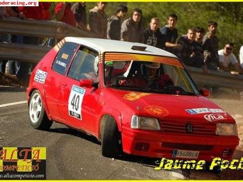 Vendo 205 rallye, al dia en todo...