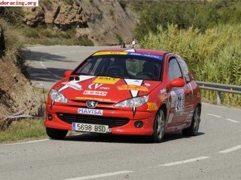 Urge vender!!! peugeot 206 subcampeon volantracc catalunya 2