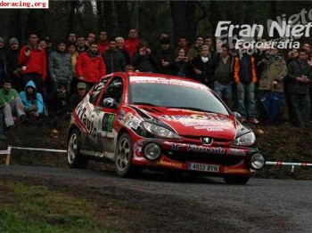 Peugeot 206 del desafio español(ex basols,jordi marti)