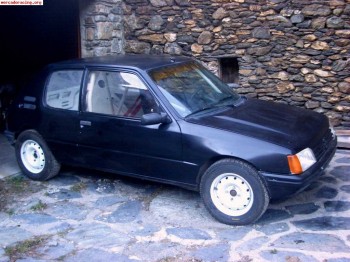 205 gti. 1200€