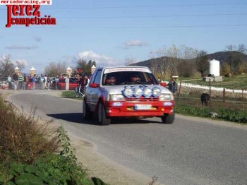 205 gti rally o tierra
