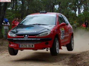 Peugeot 206 gti 