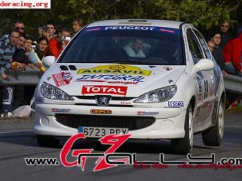 Peugeot 206 del desafio nacional