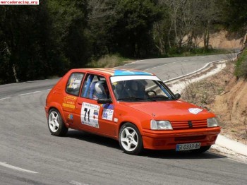 Peugeot 205 rally competicion