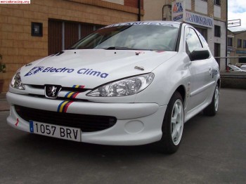 Vendo 206 desafio nacional