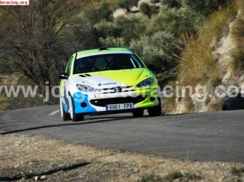 Peugeot 206 rc gr n kit peugeot sport