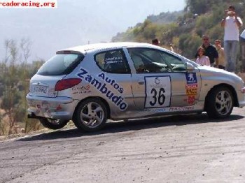 Se vende 206 desafio andaluz