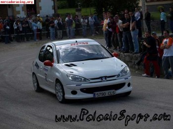 Se vende o se cambia 206