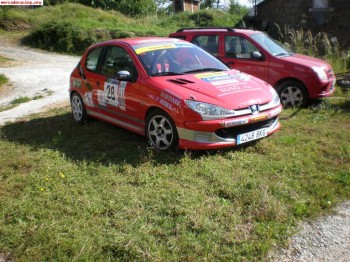 Se vende 206 del desafio