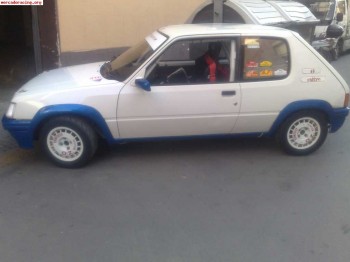 Vendo 205rallye gr.n