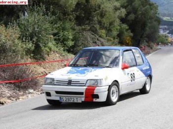 Peugeot 205 rallye