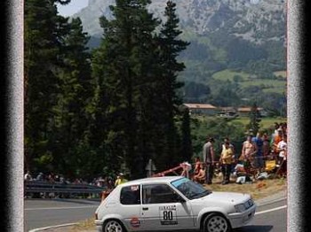 Se vende o cambia 205 rally