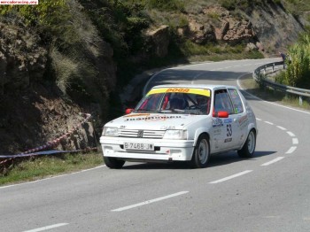 Peugeot 205 rallye n/a