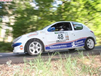 Se vende peugeot 206 gra desafio nacional(mejorado)