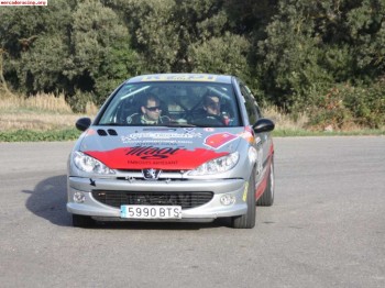 Peugeot 206 gt