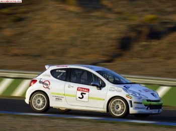 Vendo peugeot 207thp de la copa