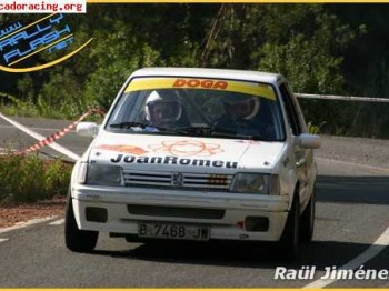 205 rally grupo n/a