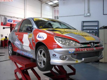 Vendo 206 campeon del volante racc andalucia 2009